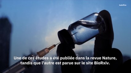 L'immunité au coronavirus peut durer des années selon une nouvelle étude