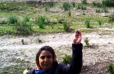Fotokapan öyle bir görüntü kaydetti ki kimse ne yaptığını anlayamadı