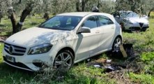Furti d'auto, rapine e ricettazione: 15 arresti in Puglia (31.05.21)