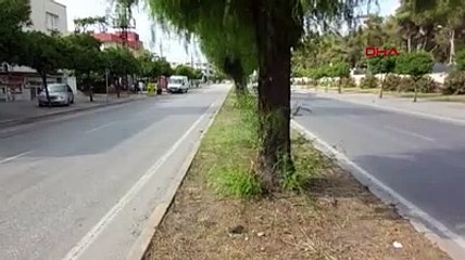 Oyuncu İlker Aksum'un takla attığı kaza kameraya böyle yansıdı