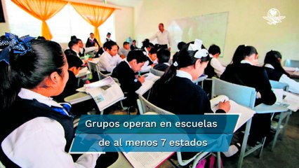 Denuncian red de abuso sexual de menores