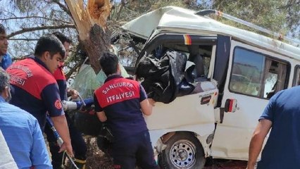Minibüs ağacın gövdesine saplandı