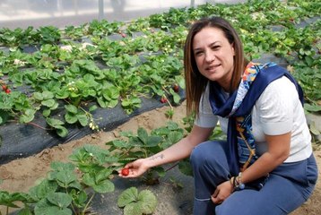 Son dakika: Selçuk'un gözbebeği Efes Tarlası Yaşam Köyü açılıyor