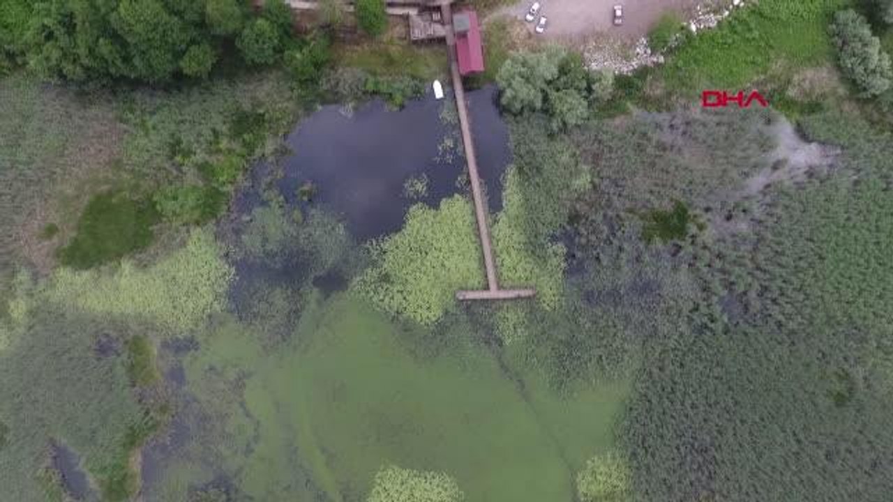 KUŞ CENNETİ EFTENİ GÖLÜ ZİYARETÇİLERİNİ BEKLİYOR