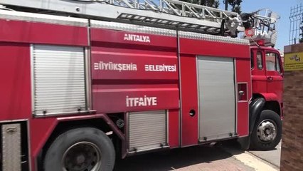 Okulda karga alarmı... Yavrusunu korumak için çevredekilere saldırdı