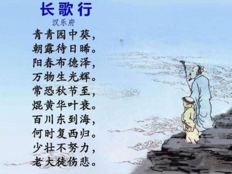 53长歌行|古诗|ancient poetry|品读千古诗文|学习中华经典|中华经典