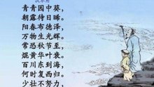 53长歌行|古诗|ancient poetry|品读千古诗文|学习中华经典|中华经典|国学|[品讀千古詩文|學習中華經典|中華經典]