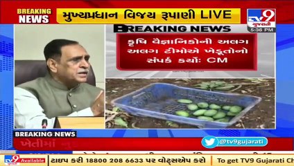 Govt will soon release an action plan for farmers to minimize losses due to Cyclone- CM Rupani _ TV9