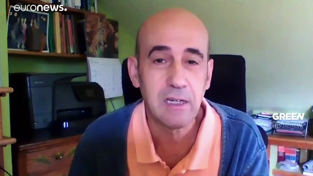 L'Europa vuole diventare verde, ma quali sono i rischi?