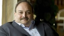 Mystery woman lured Mehul Choksi to Dominica?