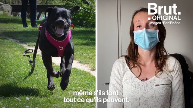 Plutôt que d’adopter un animal, ils sont devenus famille d’accueil