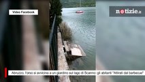 Abruzzo, l'orso si avvicina a un giardino sul lago di Scanno: gli abitanti 