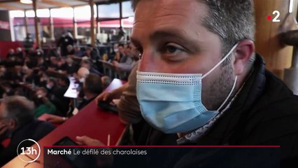 Saint-Christophe-en-Brionnais : une plongée en Bourgogne, au cœur du plus vieux marché aux bestiaux français