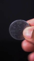 Awesome_Science_Trick_#shorts(360p)