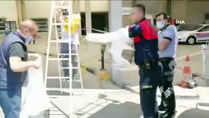 Acil servisi arılar bastı