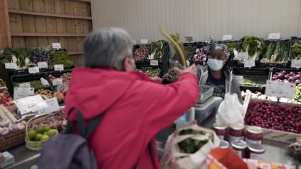 Près de Paris, le maraîchage bio pour réinsérer des SDF et des migrants