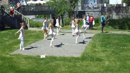 VIDEO | 60 danseurs aux quatre coins de Hotton