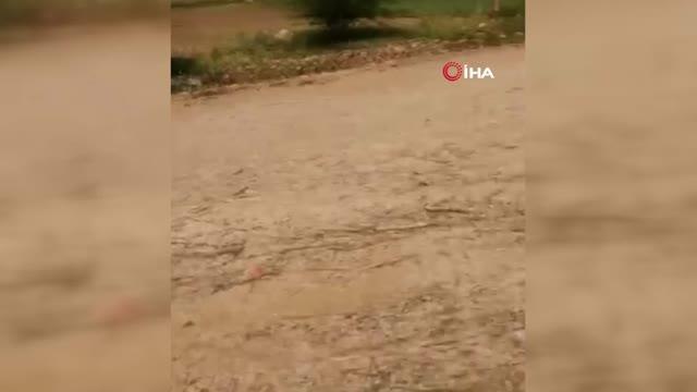 Son Dakika | Aşırı yağış sele neden oldu, selin geliş anları kameralara yansıdı