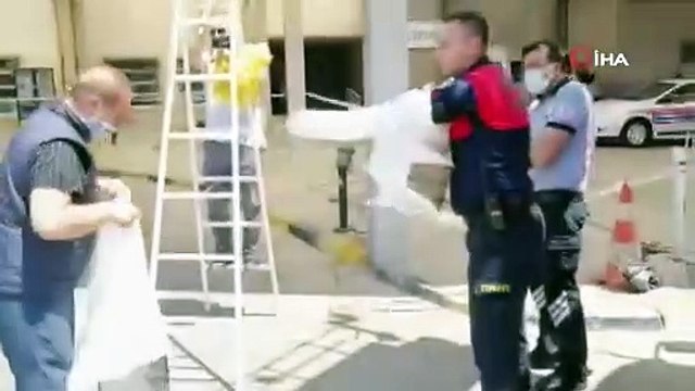 Hastanenin Acil Servisinde acil durum: Arılar hastaneyi bastı!