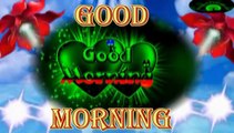 Good morning video status | good morning whatsapp status | wishes | quotes | message | greetings | best morning status | happy good morning photos