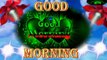 Good morning video status | good morning whatsapp status | wishes | quotes | message | greetings | best morning status | happy good morning photos