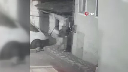 Uyuşturucu parasını çıkarmak için hırsızlık yapan şahıs kıskıvrak yakalandı