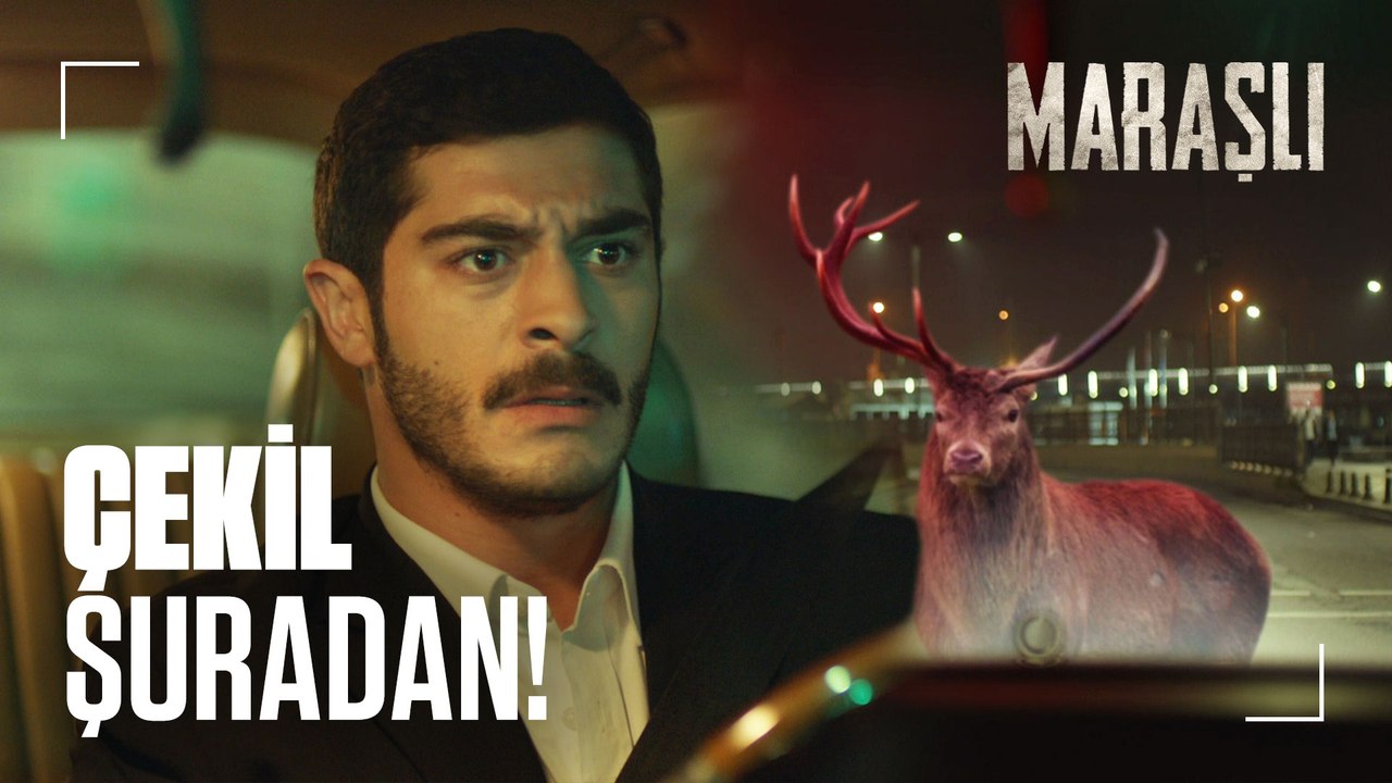 Celal boş yolda geyik gördü! - Maraşlı 20. Bölüm