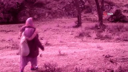 Fotokapanın kaydettiği görüntü izleyenleri şaşkına çevirdi