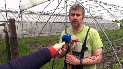 De diputado a jardinero para denunciar la deriva autoritaria de Orbán