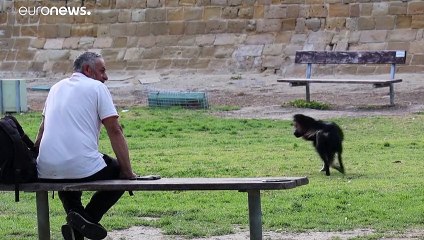 Κύπρος - Covid-19: Κανένας θάνατος και 50 νέα κρούσματα - Στο  0,11% το ποσοστό θετικότητας