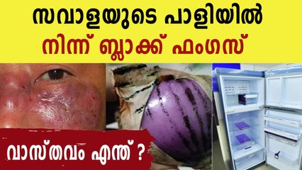Fake news about Black Fungus | Oneindia Malayalam
