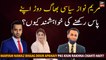 Why does Maryam Nawaz want to have a political run of PMLN?