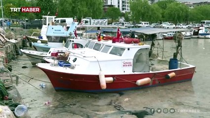 Çevre Bakanlığı deniz salyası için harekete geçti