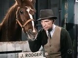My Favorite Martian S3 E29 Horse And Buggy Martin [Hd]