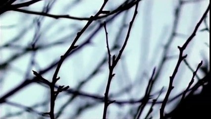 The Ruth Rendell Mysteries - The Fallen Curtain (1999)