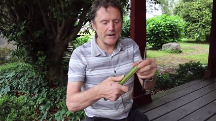 How To Make A Flute Or Swanee Slide Whistle Out Of Bamboo - Sensory Learning 4 Life
