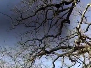 The Virginian - Se3 - Ep28 - Part 01 HD Watch