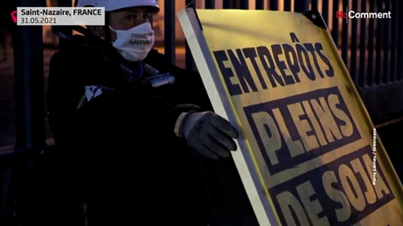 Gegen Sojaanbau: Umweltschutzgruppe mit Kraxelprotest