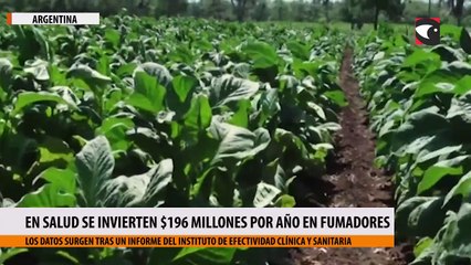 En salud se invierten $196 millones por año en fumadores
