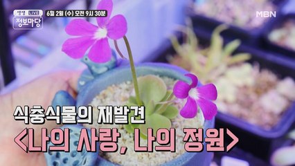 생생 정보마당 [893회] - 실속 있는 수요일