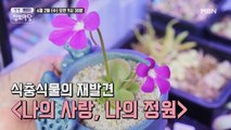 생생 정보마당 [893회] - 실속 있는 수요일