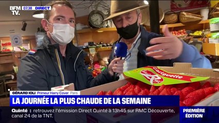 Quels sont les fruits de saison à déguster ?
