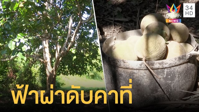 ชายปีนเก็บกระท้อน ถูกฟ้าผ่าร่วงดับคาที่ | ข่าวเที่ยงอมรินทร์ | 1 มิ.ย.64