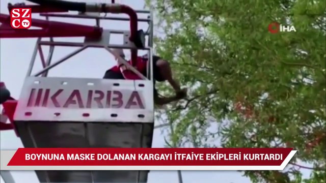 Boynuna maske dolanan kargayı itfaiye ekipleri kurtardı