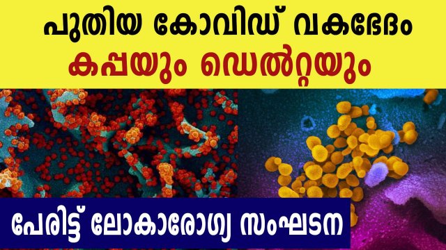 WHO names COVID-19 variants first found in India as 'Kappa' and 'Delta'