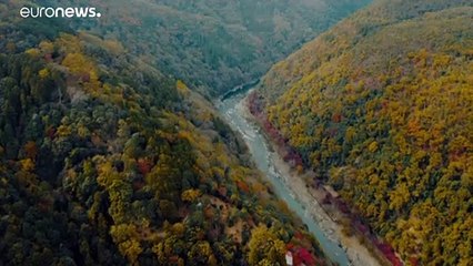 «Ο Ήχος του Κιότο»: Ο Μάριος Ιωάννου Ηλία συνθέτει το μουσικό πορτρέτο της πόλης