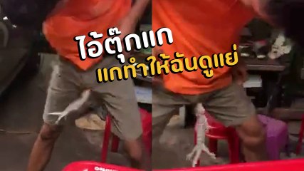 อย่างฮา ! หนุ่มเจอตุ๊กแกมาหาแบบพิสดาร ความเสียวครั้งนี้ พาเก็บทรงไม่อยู่