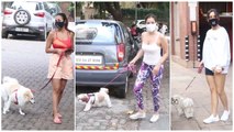 Malaika Arora, Sophie Choudry & Neha Sharma Snapped With Their Pet Dog