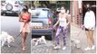 Malaika Arora, Sophie Choudry & Neha Sharma Snapped With Their Pet Dog