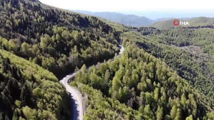 İki ilde ormanlık alanda mangal yapılması yasaklandı